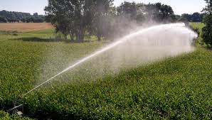 irrigation